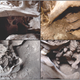 Image for article titled This Is the Oldest Case of Ritual Decapitation Ever Uncovered in the Americas